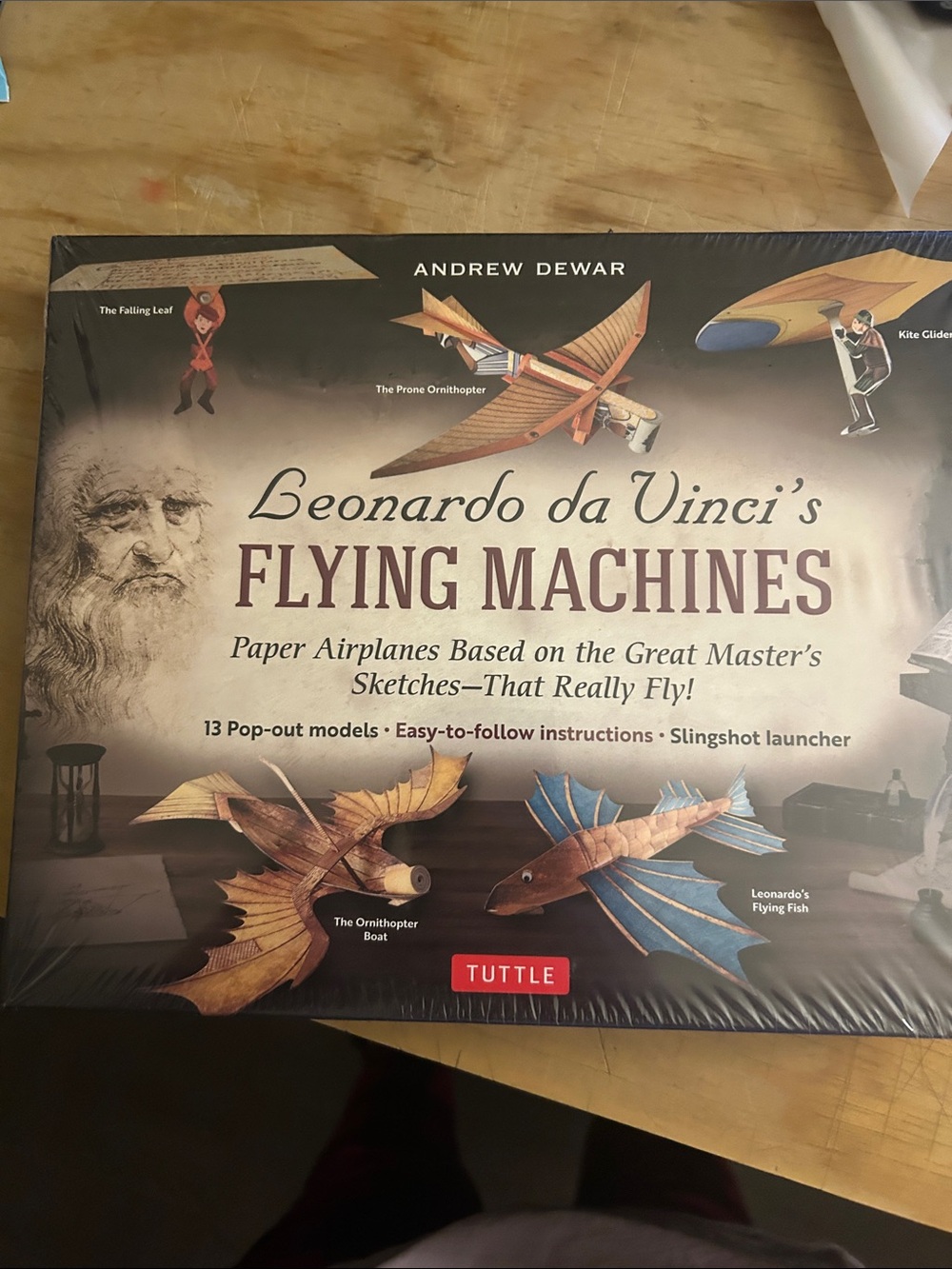 Leonardo da Vinci's Flying Machines - Brown & Blue